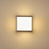 Buckau Buiten muurverlichting LED Antraciet, Wit, 1-licht