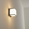 Buckau Buiten muurverlichting LED Antraciet, Wit, 1-licht