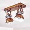 Gudo Plafondlamp Bruin, Brons, 2-lichts