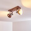 Gudo Plafondlamp Bruin, Brons, 2-lichts