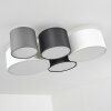 Skelbaek Plafondlamp Wit, 5-lichts