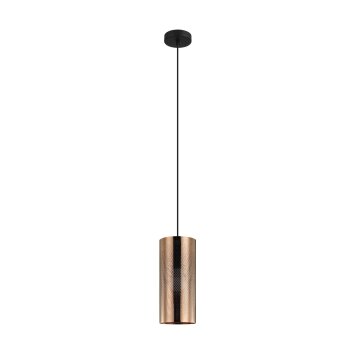 Eglo TABIAGO Hanger Zwart, 1-licht