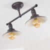 Nibyn Plafondlamp Bruin, 2-lichts