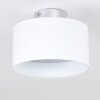 Baraboo Plafondlamp LED Nikkel mat, 2-lichts