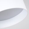 Baraboo Plafondlamp LED Nikkel mat, 2-lichts