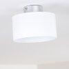 Baraboo Plafondlamp LED Nikkel mat, 2-lichts