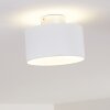 Baraboo Plafondlamp LED Nikkel mat, 2-lichts