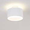 Baraboo Plafondlamp LED Nikkel mat, 2-lichts