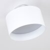 Baraboo Plafondlamp LED Nikkel mat, 2-lichts