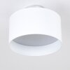Baraboo Plafondlamp LED Nikkel mat, 2-lichts