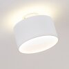Baraboo Plafondlamp LED Nikkel mat, 2-lichts