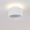 Baraboo Plafondlamp LED Nikkel mat, 2-lichts