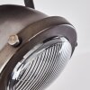 Glostrup Plafondlamp Bruin, roestvrij staal, 3-lichts