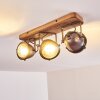 Glostrup Plafondlamp Bruin, roestvrij staal, 3-lichts