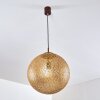 Vigra Hanger Bruin, Goud, 1-licht