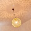 Vigra Hanger Bruin, Goud, 1-licht