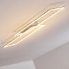 Veyrier Plafondlamp LED Staal geborsteld, 2-lichts