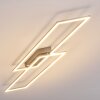 Veyrier Plafondlamp LED Staal geborsteld, 2-lichts