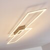 Veyrier Plafondlamp LED Staal geborsteld, 2-lichts
