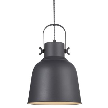 Nordlux ADRIAN Hanglamp Antraciet, 1-licht