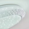 Burton Plafondlamp LED Wit, 1-licht