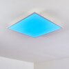Antria Plafondpaneel LED Wit, 1-licht, Kleurwisselaar
