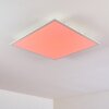 Antria Plafondpaneel LED Wit, 1-licht, Kleurwisselaar
