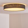 Temuka Plafondlamp LED Wit, 1-licht, Afstandsbediening