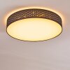 Temuka Plafondlamp LED Wit, 1-licht, Afstandsbediening