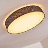 Temuka Plafondlamp LED Wit, 1-licht, Afstandsbediening