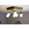 Trio CLAPTON Plafondlamp LED Aluminium, Chroom, roestvrij staal, 4-lichts