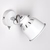 Safari Muurlamp Wit, 1-licht