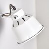 Safari Muurlamp Wit, 1-licht