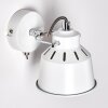 Safari Muurlamp Wit, 1-licht