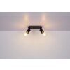 Globo HERMINE Spotlamp Zwart, 2-lichts