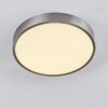 Broglen Plafondlamp LED Nikkel mat, 1-licht