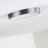 Broglen Plafondlamp LED Nikkel mat, 1-licht