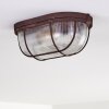 Catawba Plafondlamp Roest, 1-licht