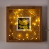Sondrio Lichtketting LED, 50-lichts
