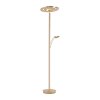 Paul Neuhaus MARTIN Staande lamp LED Messing, 1-licht