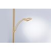 Paul Neuhaus MARTIN Staande lamp LED Messing, 1-licht