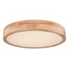 Globo WEDIO Plafondlamp LED, 1-licht, Afstandsbediening