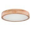 Globo WEDIO Plafondlamp LED, 1-licht, Afstandsbediening