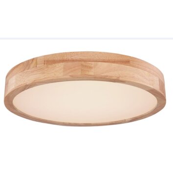 Globo WEDIO Plafondlamp LED, 1-licht, Afstandsbediening