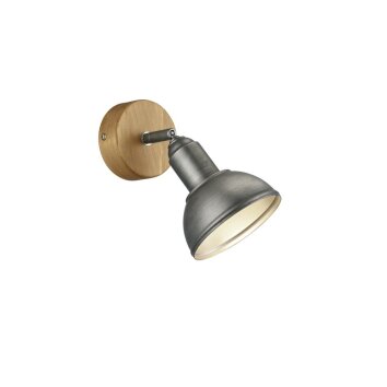 Trio DELHI Spotlamp Nikkel mat, 1-licht