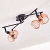 Grönhöj Plafondlamp Zwart, 4-lichts