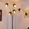 Alsen Staande lamp Zwart, 5-lichts
