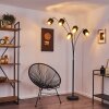 Alsen Staande lamp Zwart, 5-lichts
