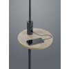 Trio CLAAS Staande lamp Zwart, 1-licht