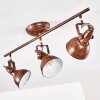 Tina Plafondlamp Roest, 3-lichts